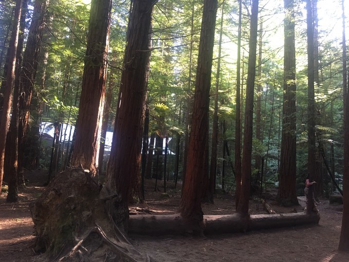 让你不用出门欣赏到美丽的风景,让你不出门你会待几天