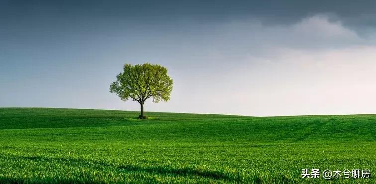 木兮问答|带黄冈永久学位的公寓，可以买吗？