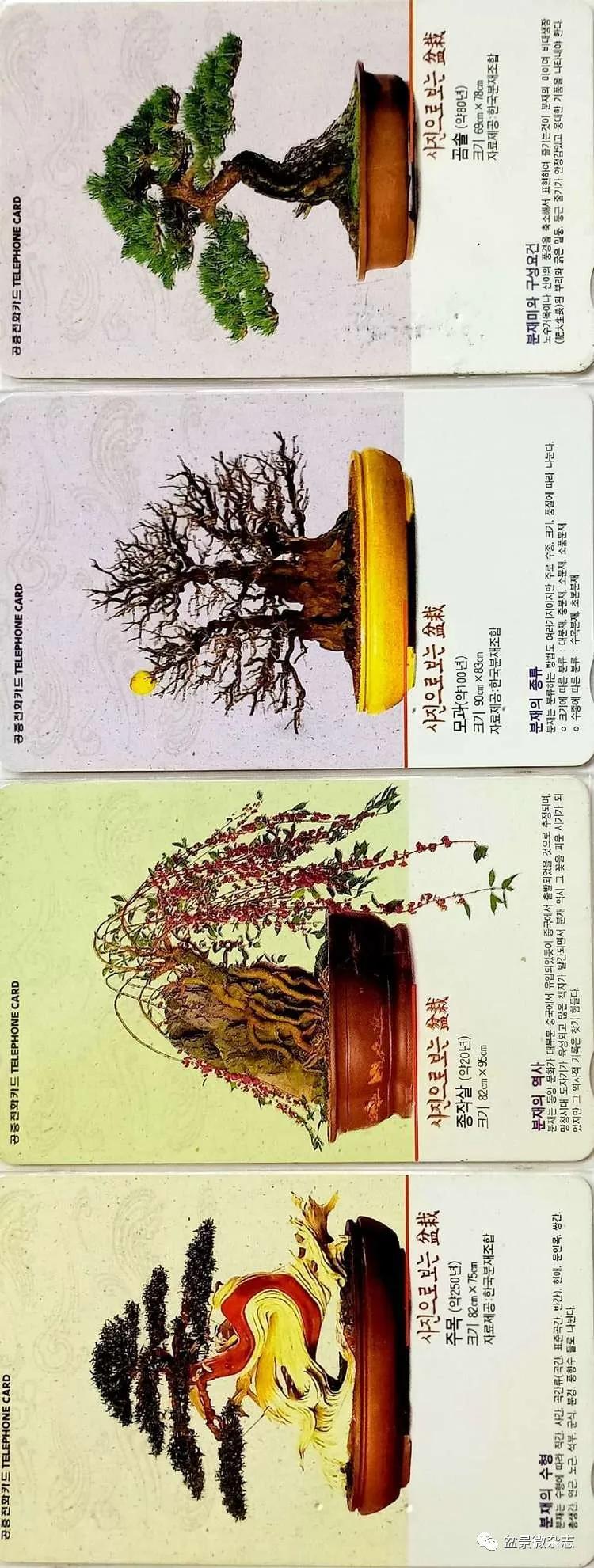 鐩嗘櫙鑱旂郴鐢佃瘽鍙风爜,涓鐩嗘櫙鑱旂郴鏂瑰紡