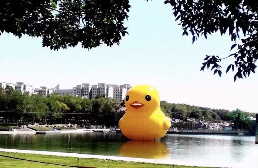 乌鲁木齐和石河子,石河子和乌鲁木齐哪个更适合发展