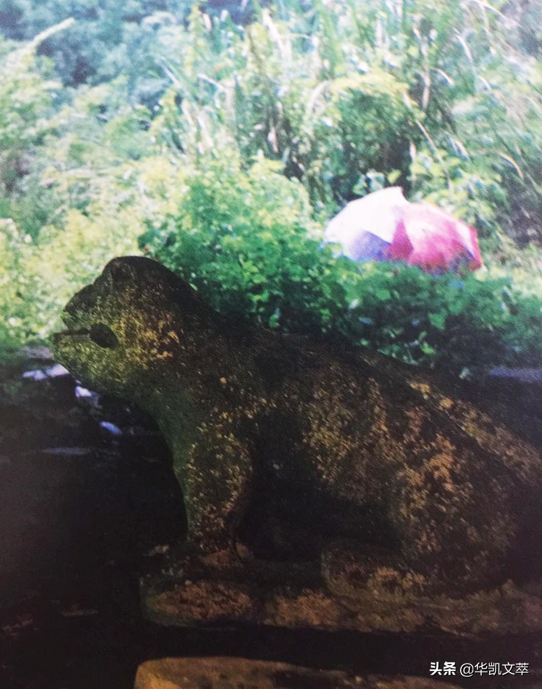 奇人·奇洞属鬼谷