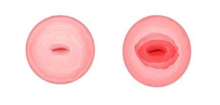 预告|明天中午11点,这场“云”直播与您开聊闺蜜话题