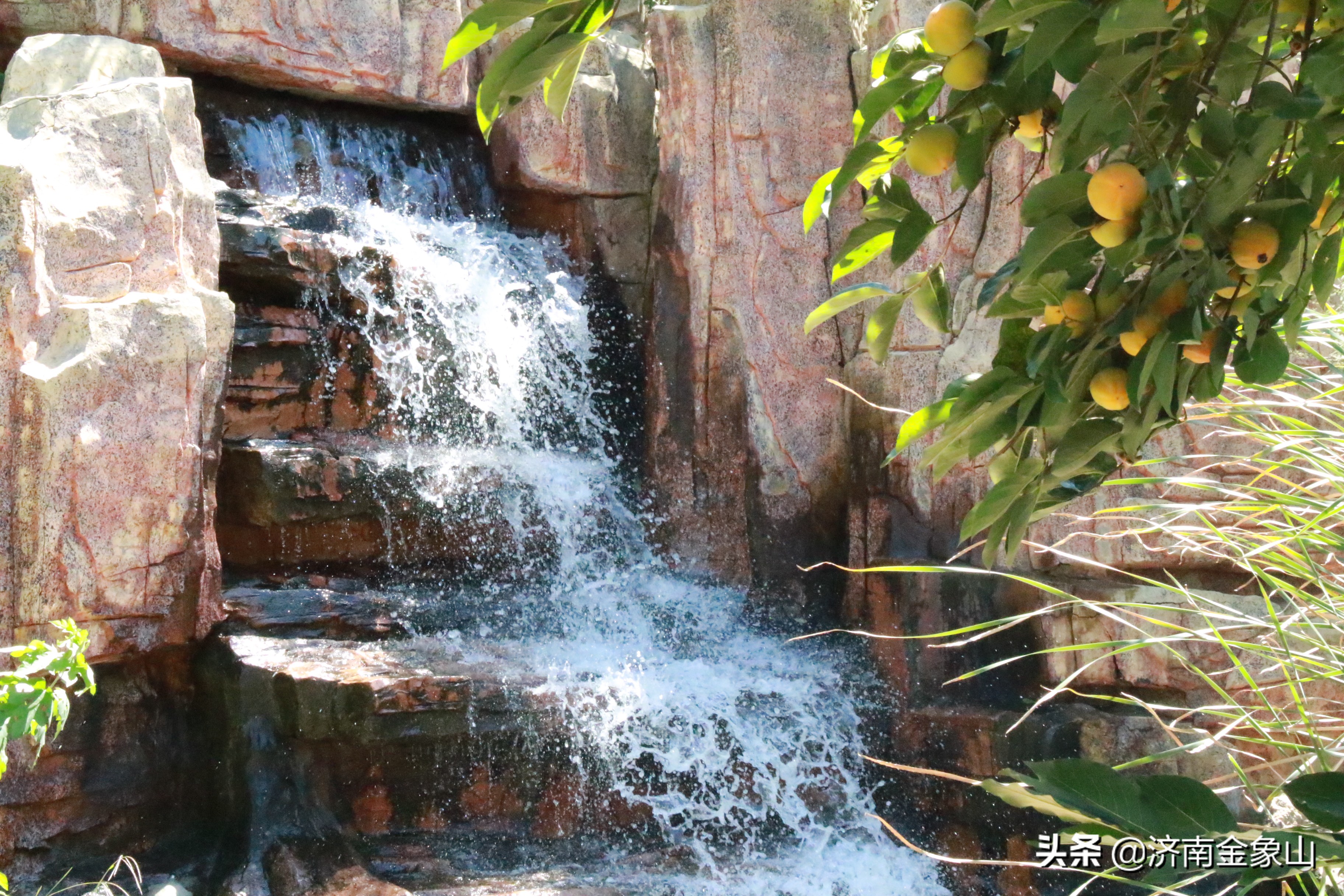 金象山风景区在哪里啊,金象山咋样