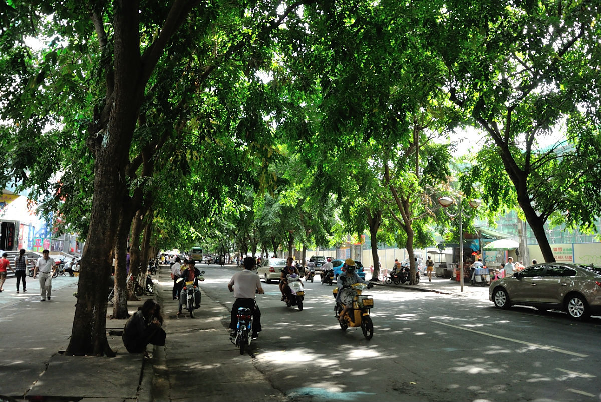 海南租车别克7座每天价格,海南自驾租车最便宜