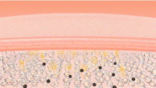 澳洲爆火的神奇爆奶霜,秋冬季有它就够了,一搓爆奶