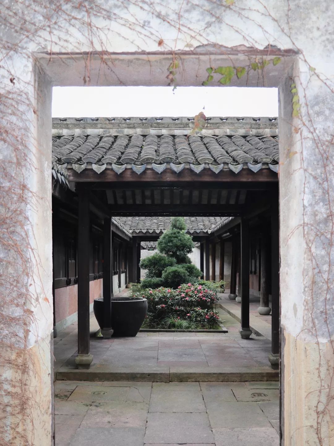 开元集团发展历史,开元集团的发展历程