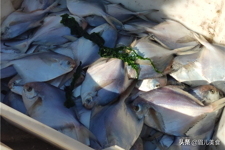 春天吃鱼，聪明人专挑这种，刺儿少味美，最主要现在没有人工养殖
