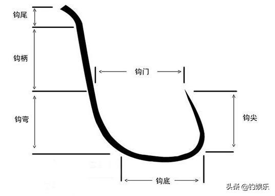 野钓你们用几号袖钩,野钓你们都用多大线组