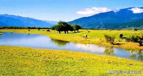 红岩朝花夕拾知识点归纳,红岩名著导读知识点