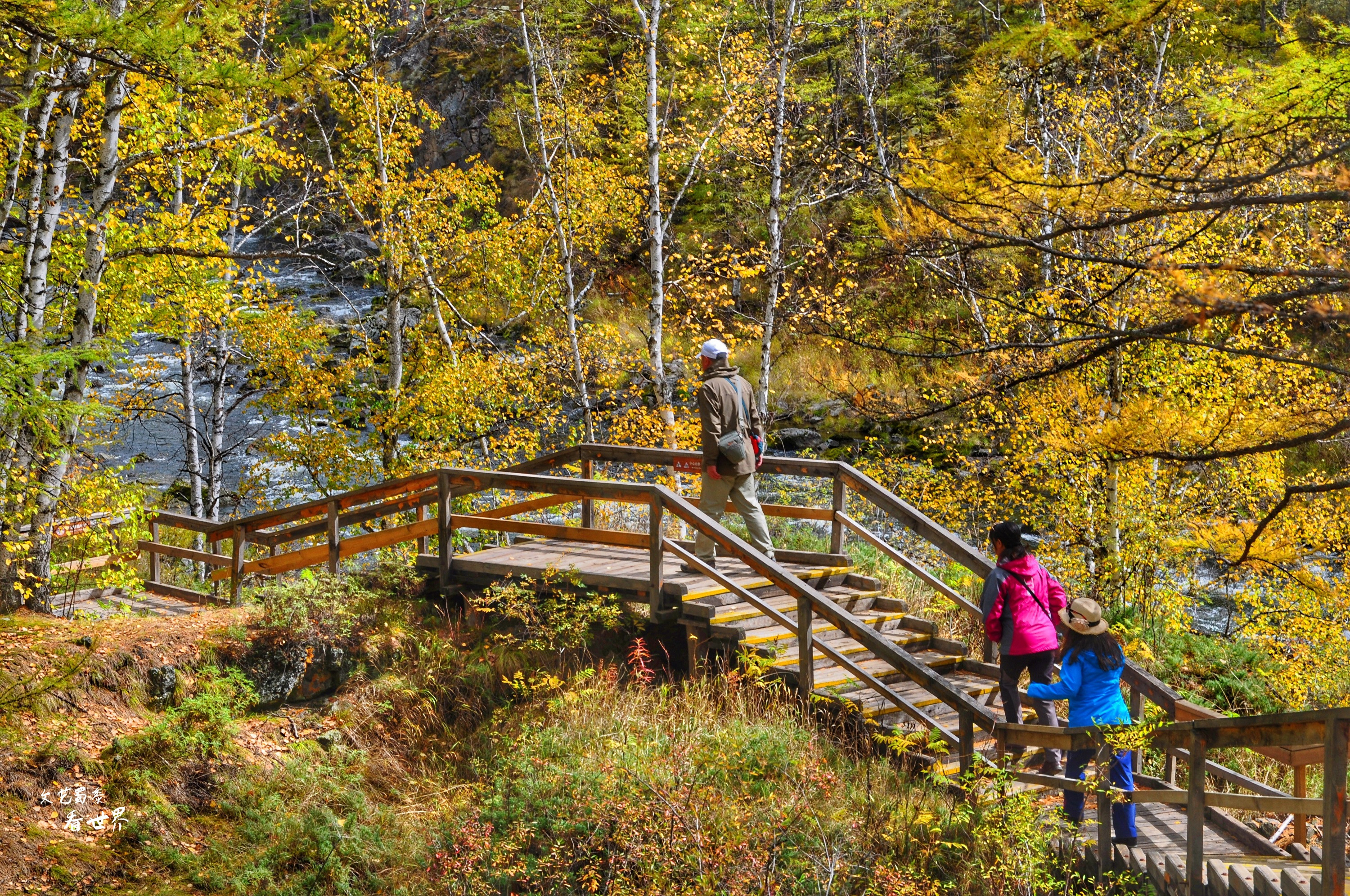 阿尔山的冬天就是童话世界,如果你第一次来到草原会感叹什么