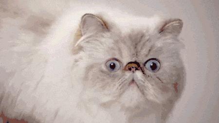 搞笑gif趣图妹子你别闹了,搞笑gif趣图妹子你这笑容太魔性了