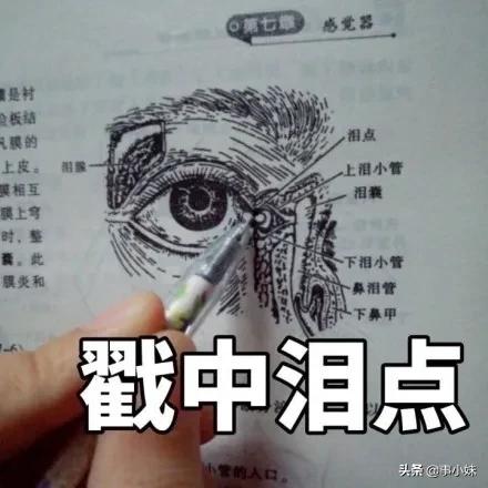 福医大上学怎么样,我劝你千万不要惹学医的女生