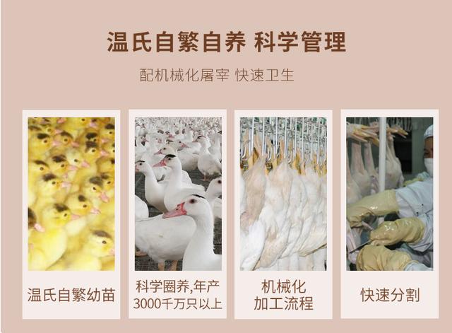 鸭肉是滋补佳品吗,鸭肉属于优质脂肪吗