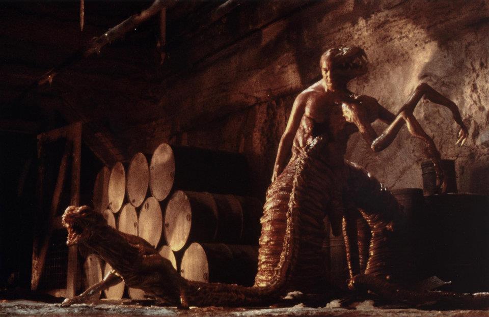 哥斯拉大战金刚全景片,哥斯拉大战金刚怪兽介绍