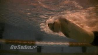 “教练，为啥我蝶泳屁股露不出水面？”“来，给你分析几个原因”