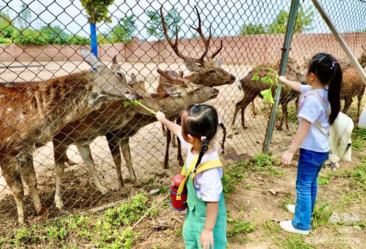 游玩万安山,洛阳万安山游玩攻略