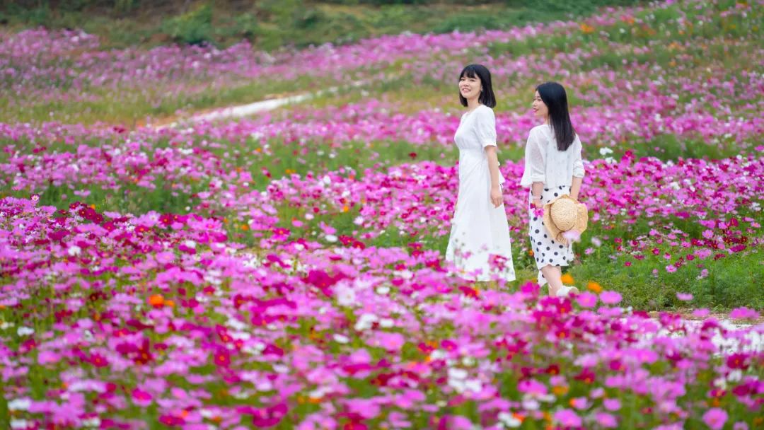 长沙亲子游玩的地方免费沙滩,长沙石燕湖亲子游攻略