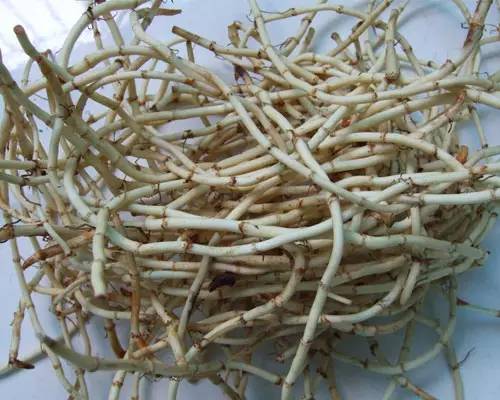 与折耳根媲美的各省美食,与折耳根媲美的美食