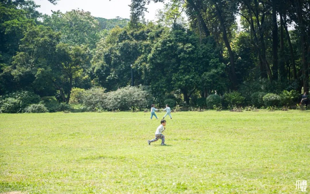 300+万㎡原始森林秘境，天河就有