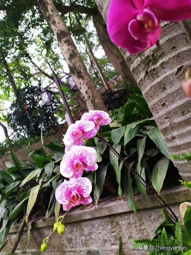 福州鼓山风景区大门,福州于山风景区开放时间最新消息