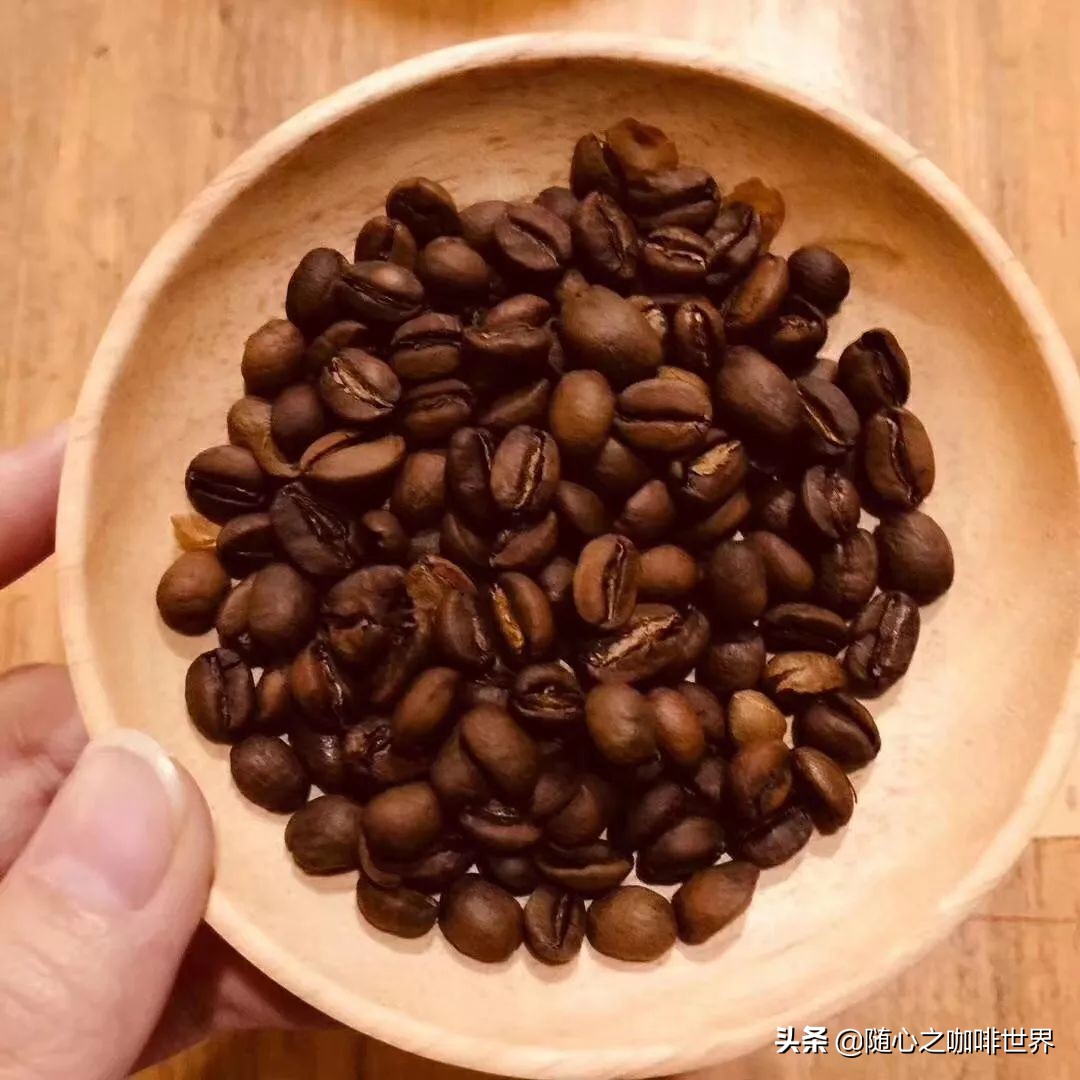 咖啡从采摘到制作过程视频,咖啡采摘加工过程