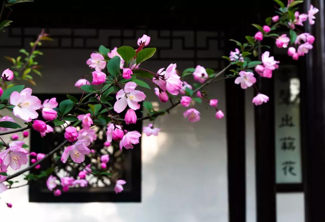 江苏省高校（三十一）苏州科技大学