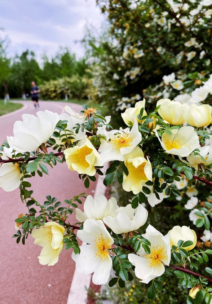 让生活褪去繁忙|iPhone与协作伙伴们的沉浸体验之行