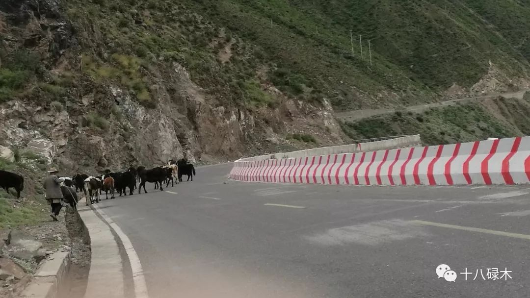西藏滇藏骑行攻略,骑行滇藏丙察察线完整攻略