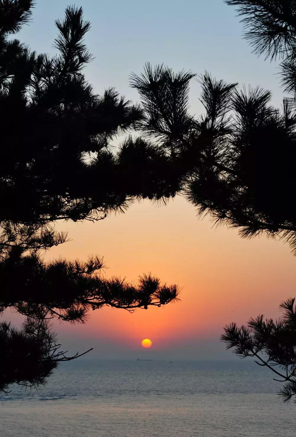 「游记」拒绝下海煮饺子，个人承包个海岸线，简直不要太爽