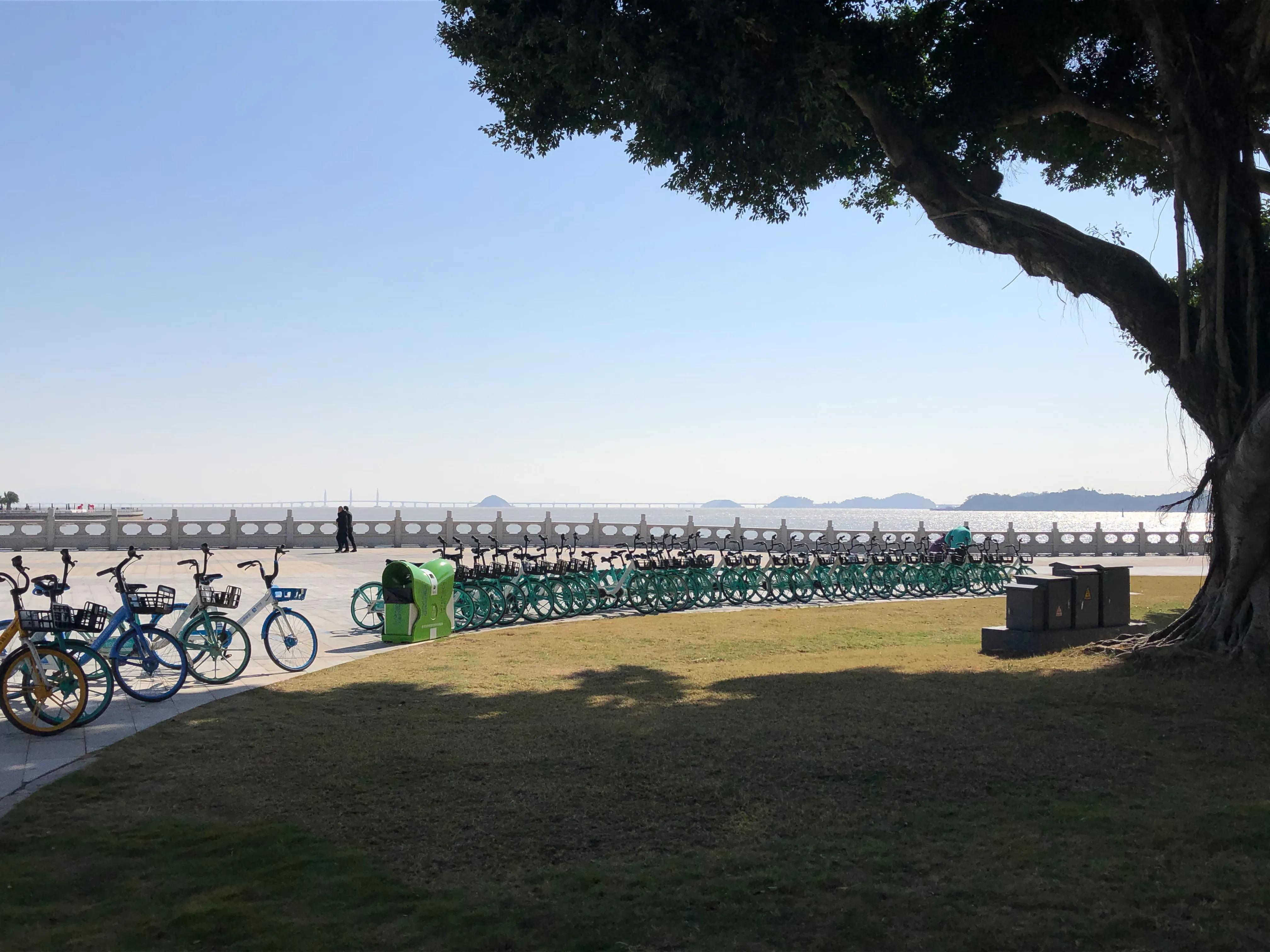 珠海野狸岛退潮时间,珠海冬日游