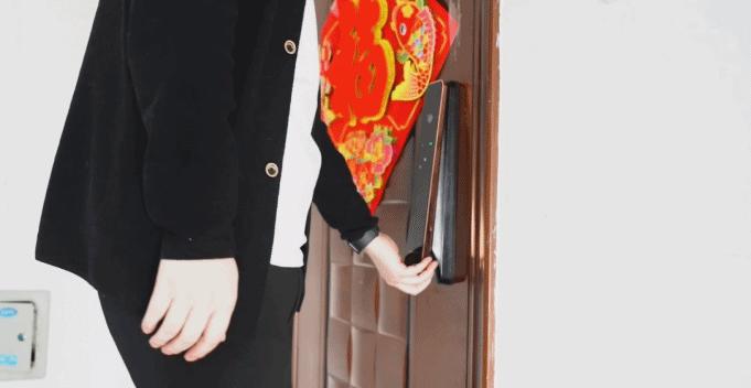 德施曼智能锁3d人脸识别评测,德施曼麒麟r82024年