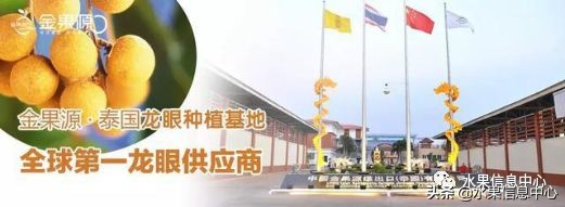 水果市场打拼的女人,卖水果的女人们