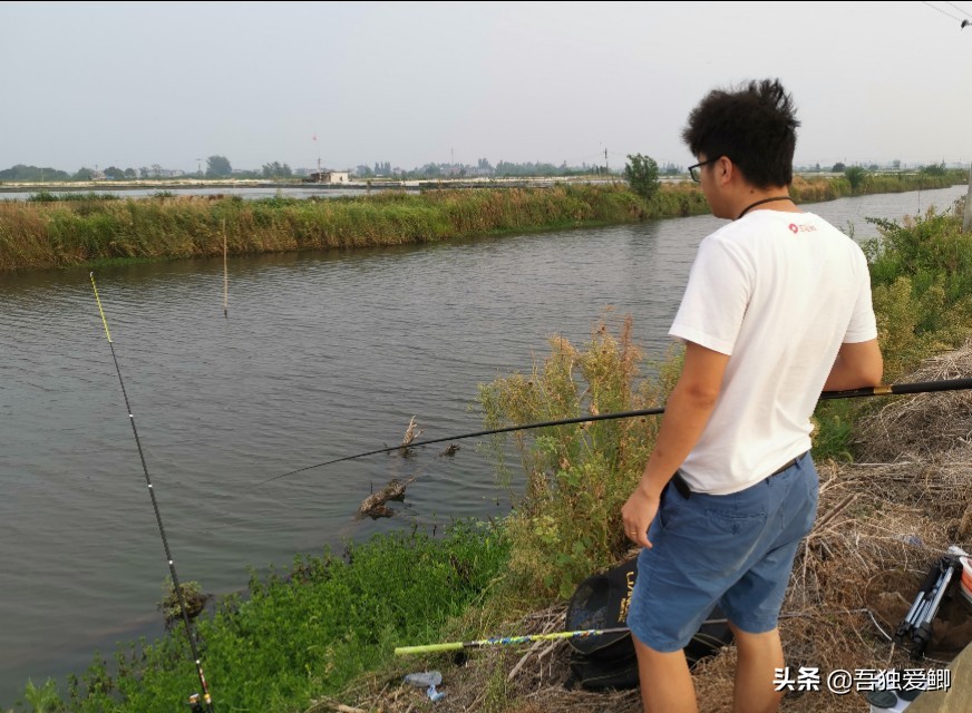 为什么大板鲫吃口很轻,大板鲫一般多少度吃口