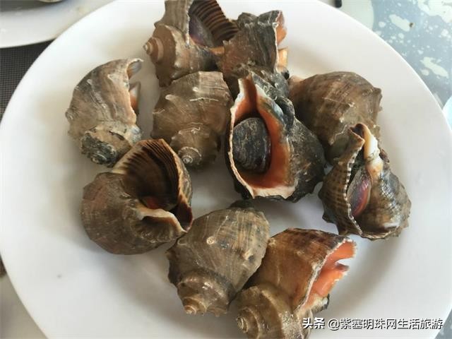 大连哈仙岛仙客来酒店,哈仙岛海鲲度假村