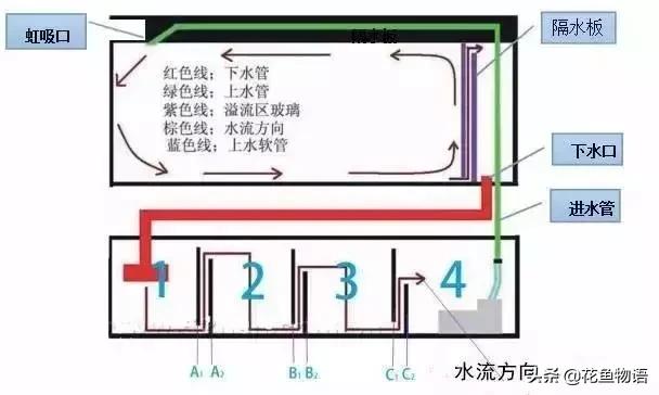 底滤鱼缸过滤原理及常见问题,底滤板气动过滤原理
