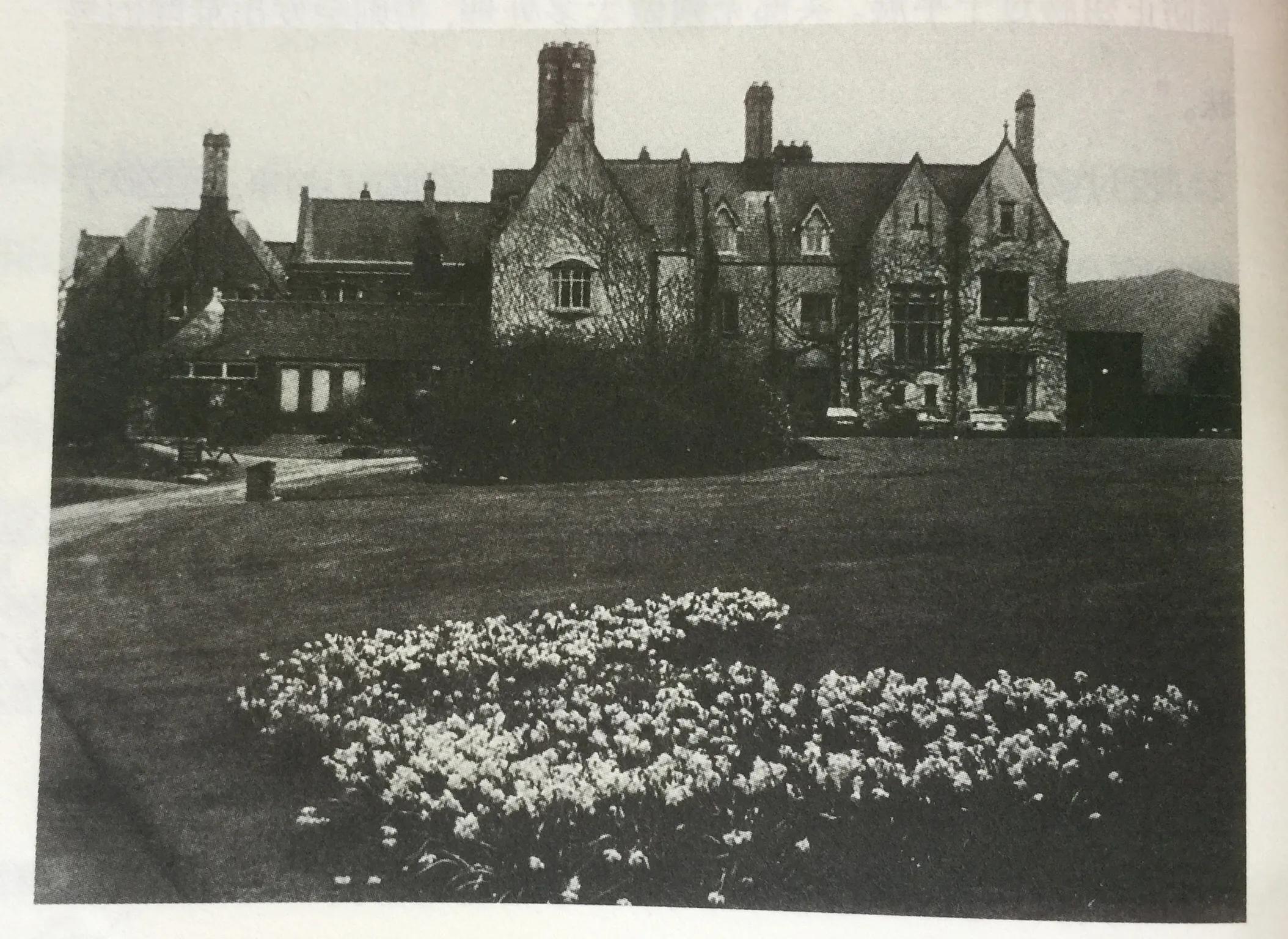 《永远的波特——彼得兔的妈妈》:揭晓彼得兔经久不衰的魅力所在