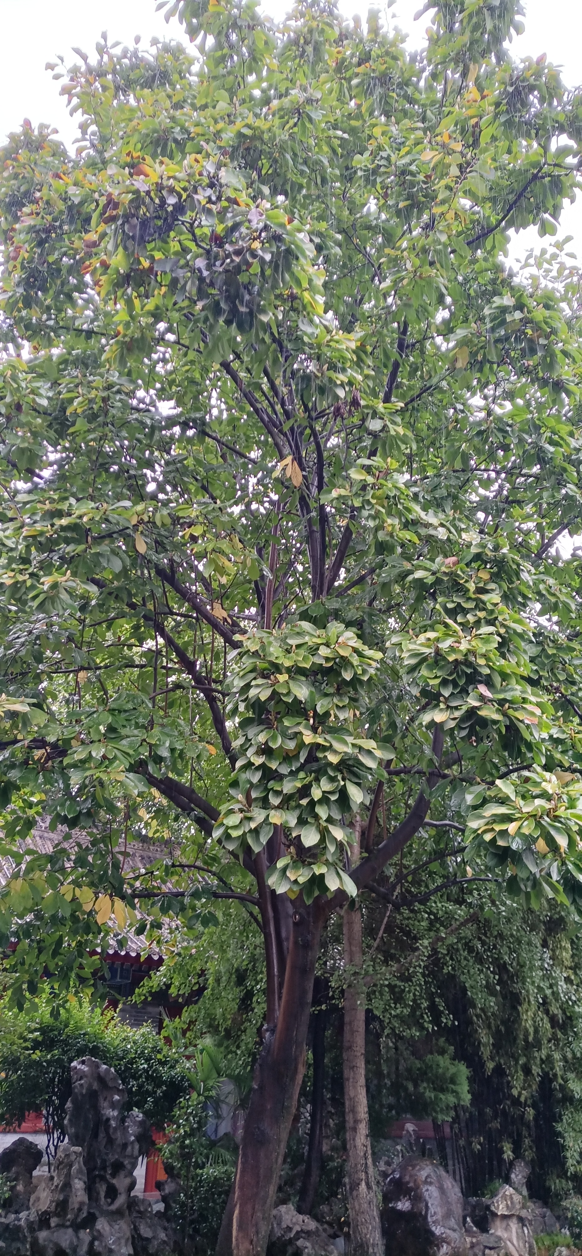 汉中天汉之美图片,汉中天汉文化旅游