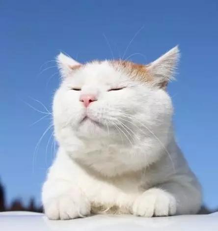 最流行的段子笑中含泪领悟人生,幽默风趣搞笑的小段子短句