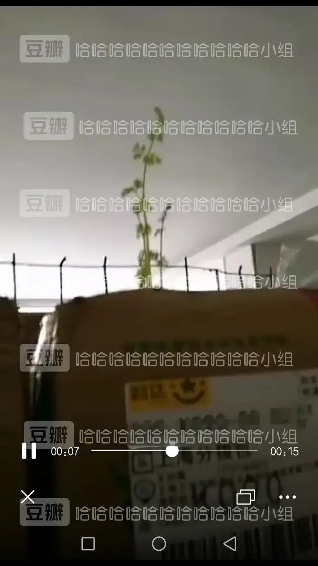 我收的不是快递，是笑话