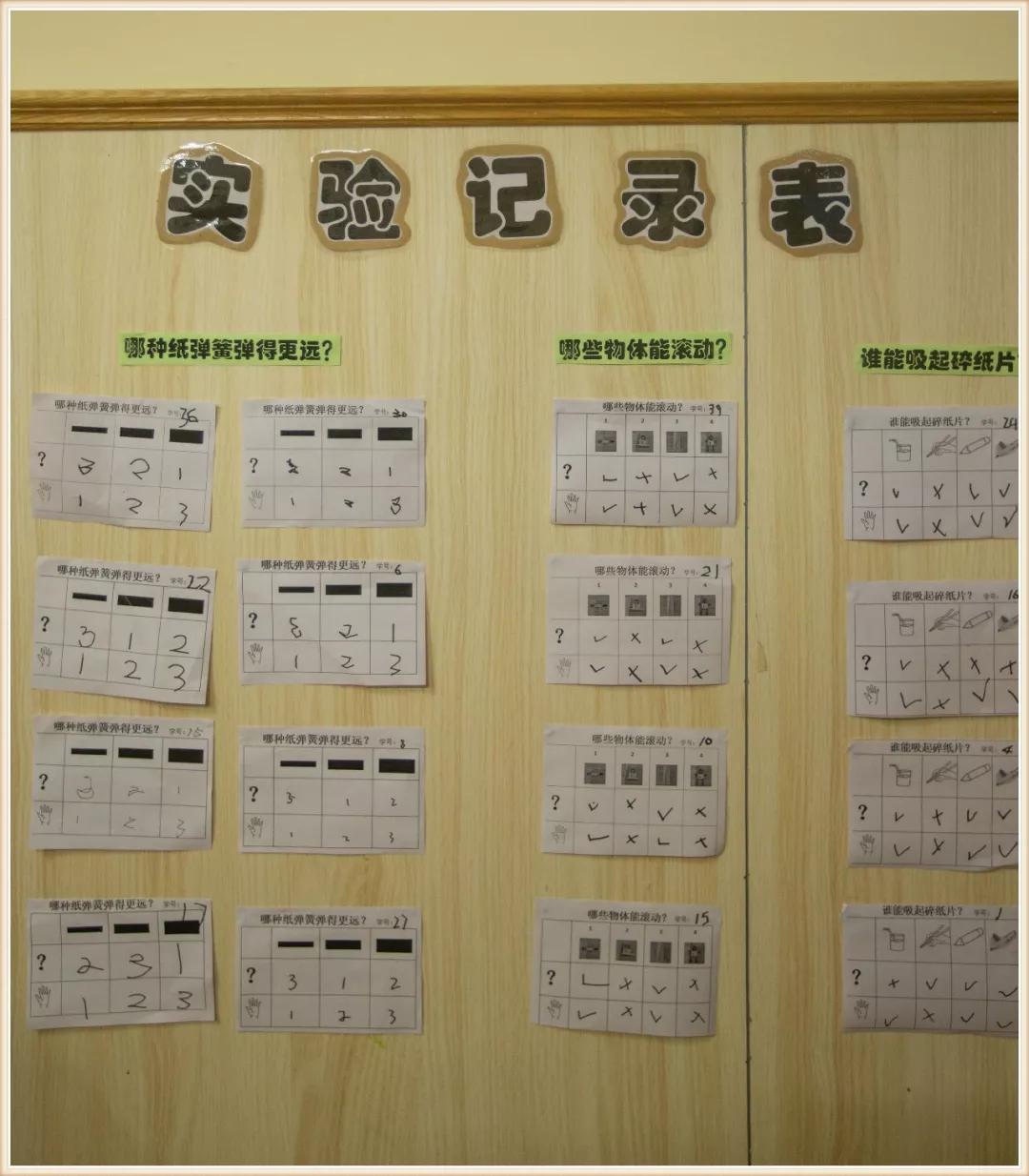 幼儿园大班地球小卫士环境创设,大班神奇的大自然环境创设