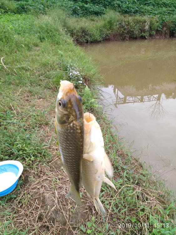 本汀宗师典藏版,本汀宗师完整视频