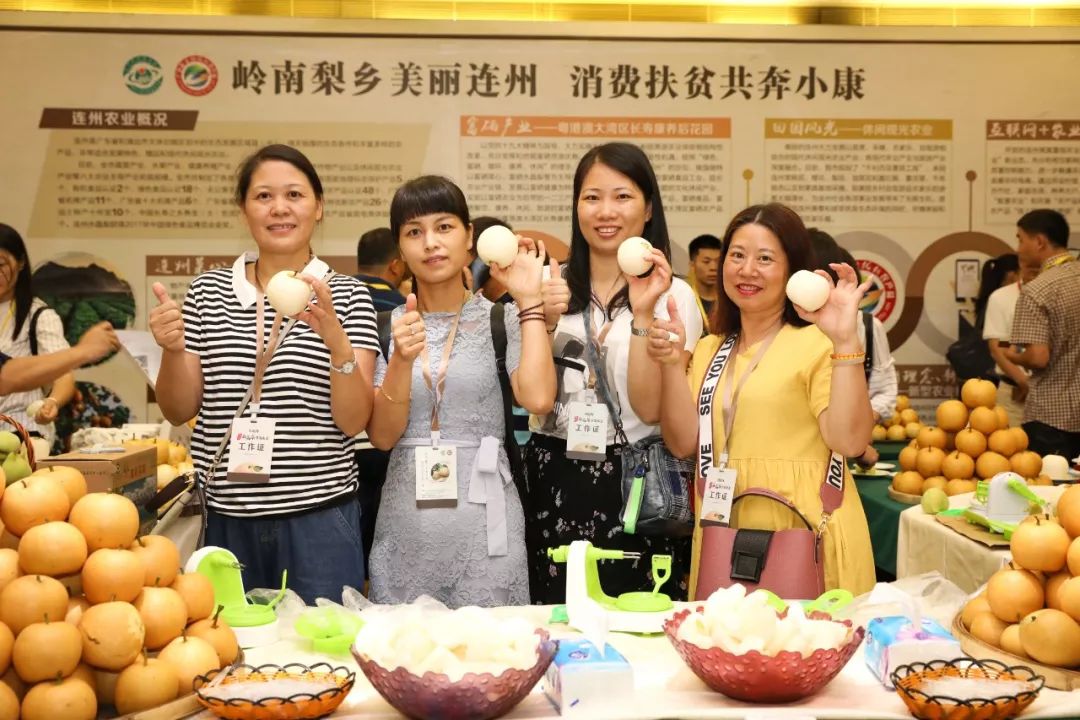 “彩带串珠”精彩纷呈!2019连州水晶梨采摘节发布会在广州举行