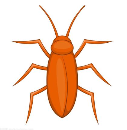 蟑螂药哪个有效果,天下无蟑蟑螂药好用吗