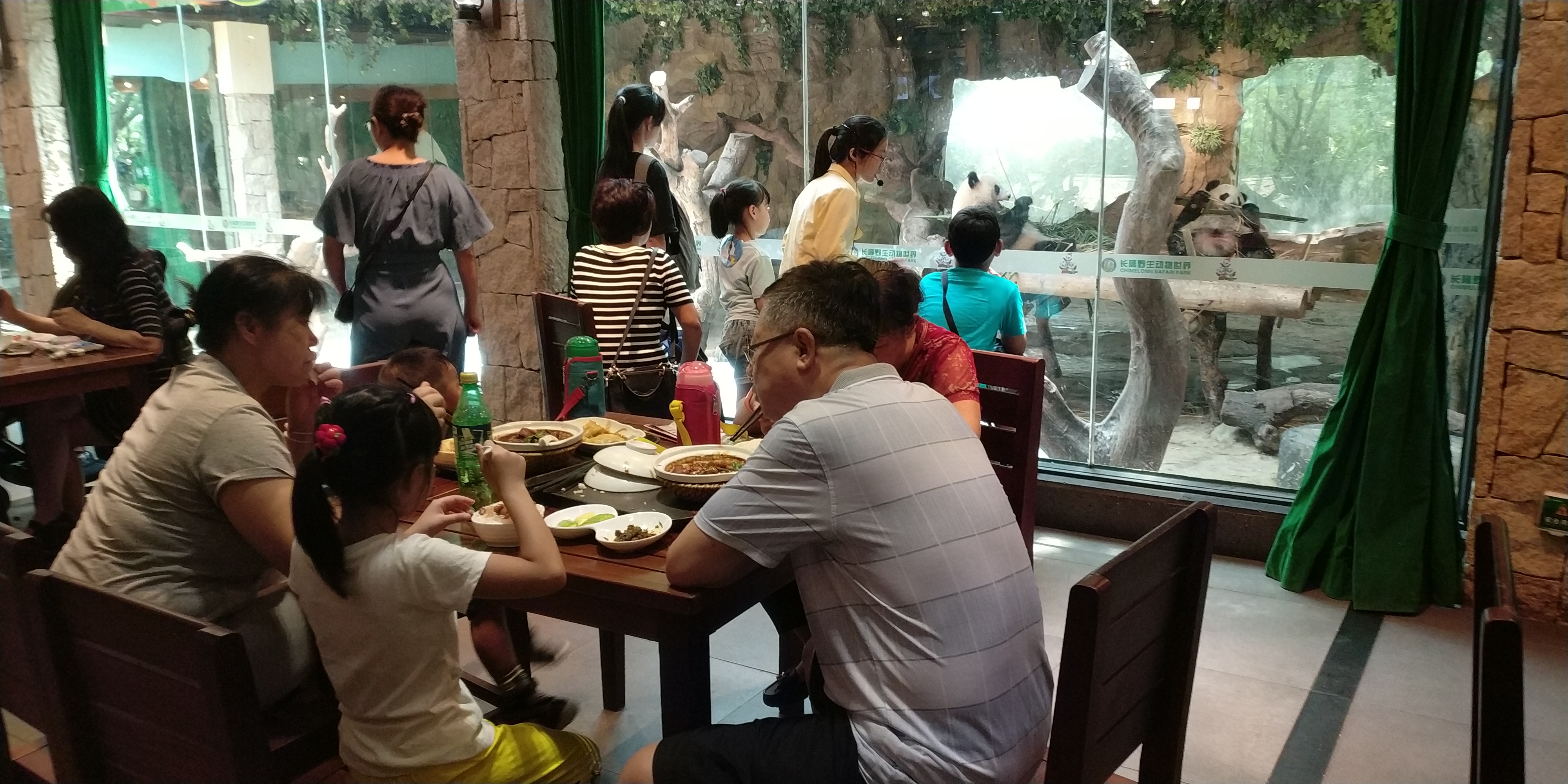 暑假带娃去广州长隆野生动物世界,周末亲子时光广州长隆野生动物园