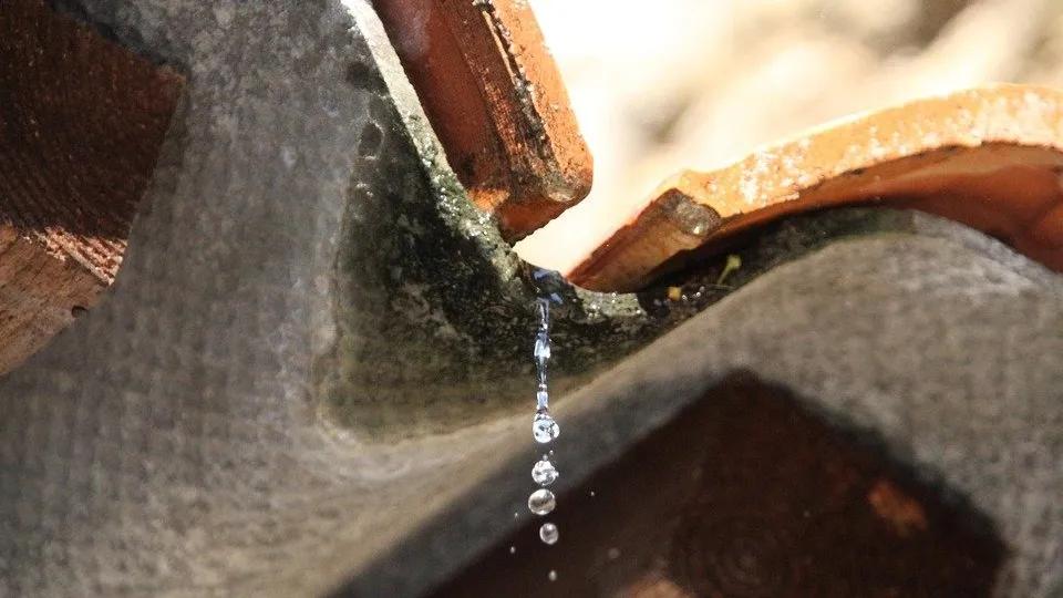 房屋漏水是起诉物业还是开发商,房屋漏水是物业责任还是开发商