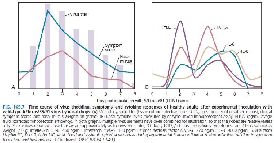 流感病毒筛查怎么做,流感病毒科普与防护小知识
