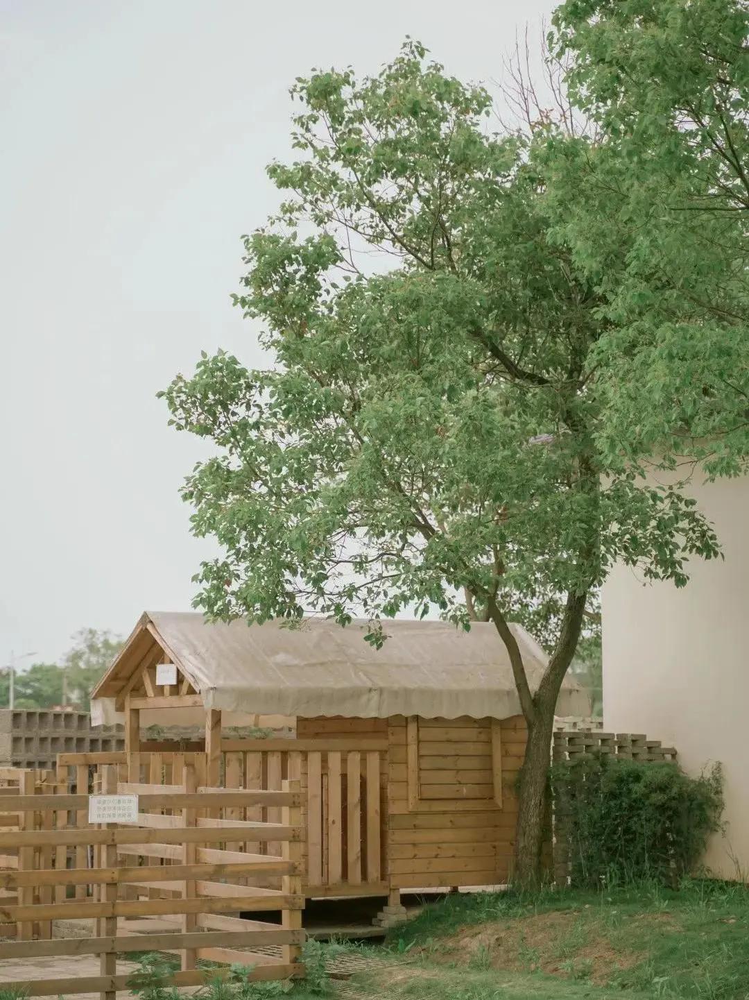 长沙周边露营地点推荐,长沙周边野外露营地点免费