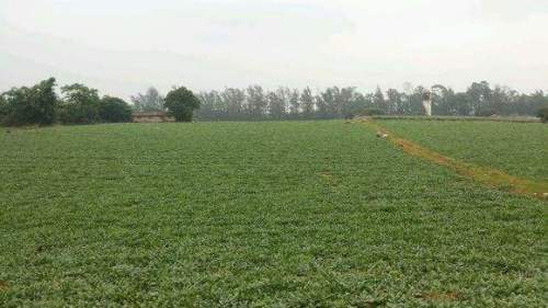 美丽动听的名字——天津之“静海区”