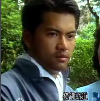 100部经典万水千山总是情港剧,重温经典万水千山总是情电视剧