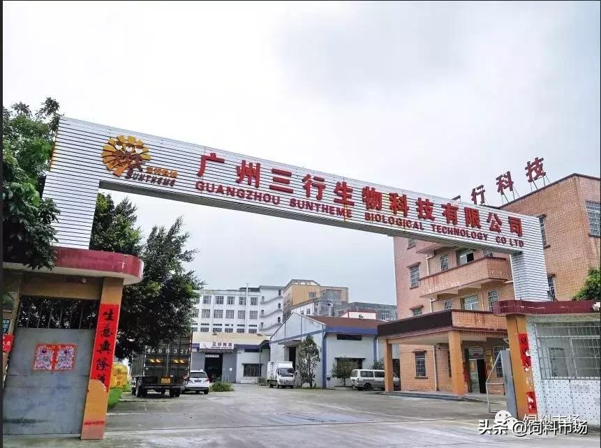 猪补铁还有效吗 (您是否知道畜禽补铁并不等于补血)